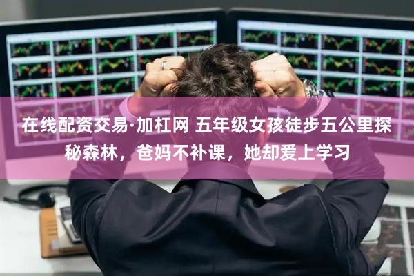 在线配资交易·加杠网 五年级女孩徒步五公里探秘森林，爸妈不补课，她却爱上学习