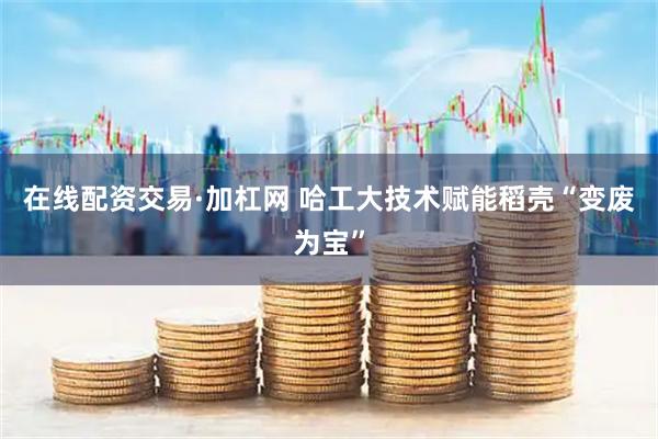 在线配资交易·加杠网 哈工大技术赋能稻壳“变废为宝”
