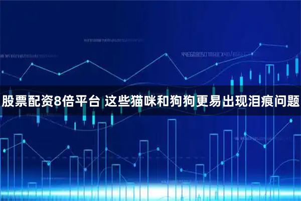 股票配资8倍平台 这些猫咪和狗狗更易出现泪痕问题