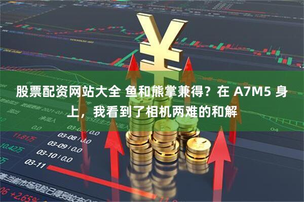 股票配资网站大全 鱼和熊掌兼得？在 A7M5 身上，我看到了相机两难的和解