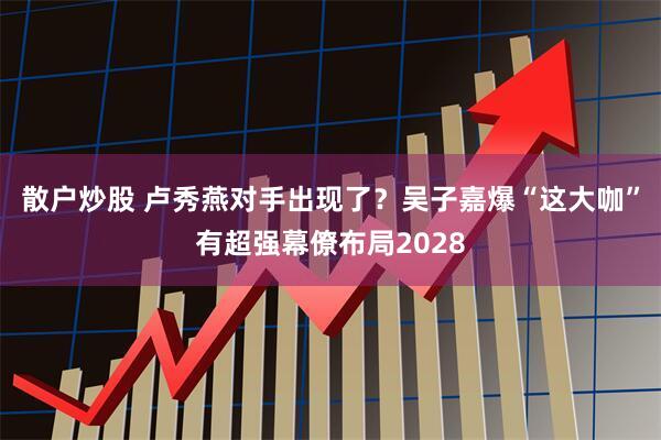 散户炒股 卢秀燕对手出现了？吴子嘉爆“这大咖”有超强幕僚布局2028