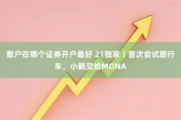 散户在哪个证券开户最好 21独家｜首次尝试旅行车，小鹏交给MONA