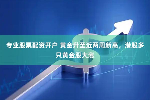 专业股票配资开户 黄金升至近两周新高，港股多只黄金股大涨